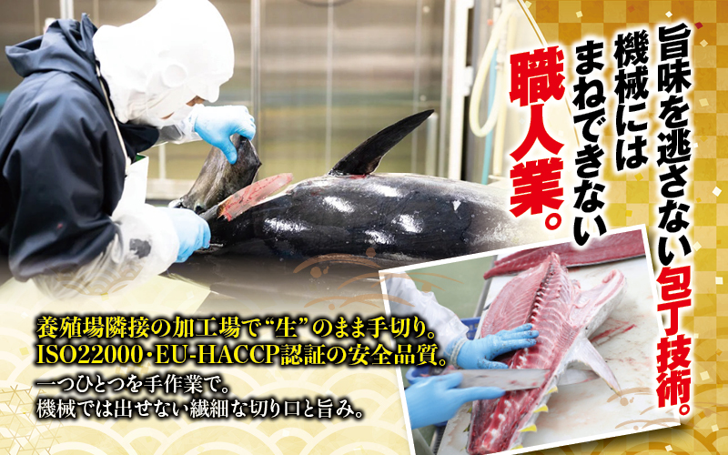 【お正月予約12月25日～29日発送】 本まぐろ トロ＆赤身セット 500g じゃばらまぐろ【nks110E-sg】