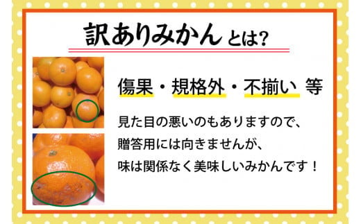【訳あり みかん 5kg】 訳あり 有田みかん 約5kg サイズ混合 / フルーツ 果物 くだもの 柑橘 みかん ミカン オレンジ 温州ミカン みかん 名産地 甘い みかん ご家庭用 訳ありみかん 蜜柑 有機質肥料100% 有田 産地直送 ※2026年11月～2027年1月に順次発送予定（お届け日指定不可）※北海道・沖縄・離島への配送不可【nuk161E】