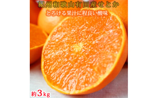 【4か月定期便】旬の柑橘定期便 / みかん ミカン 柑橘 オレンジ 果物 くだもの フルーツ フルーツ定期便 和歌山【tkb416】