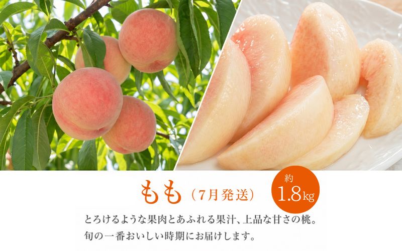 【全3回】紀州和歌山産旬のフルーツ定期便（セミノール・スイカ・桃）【5月・6月・7月】【tkb453】
