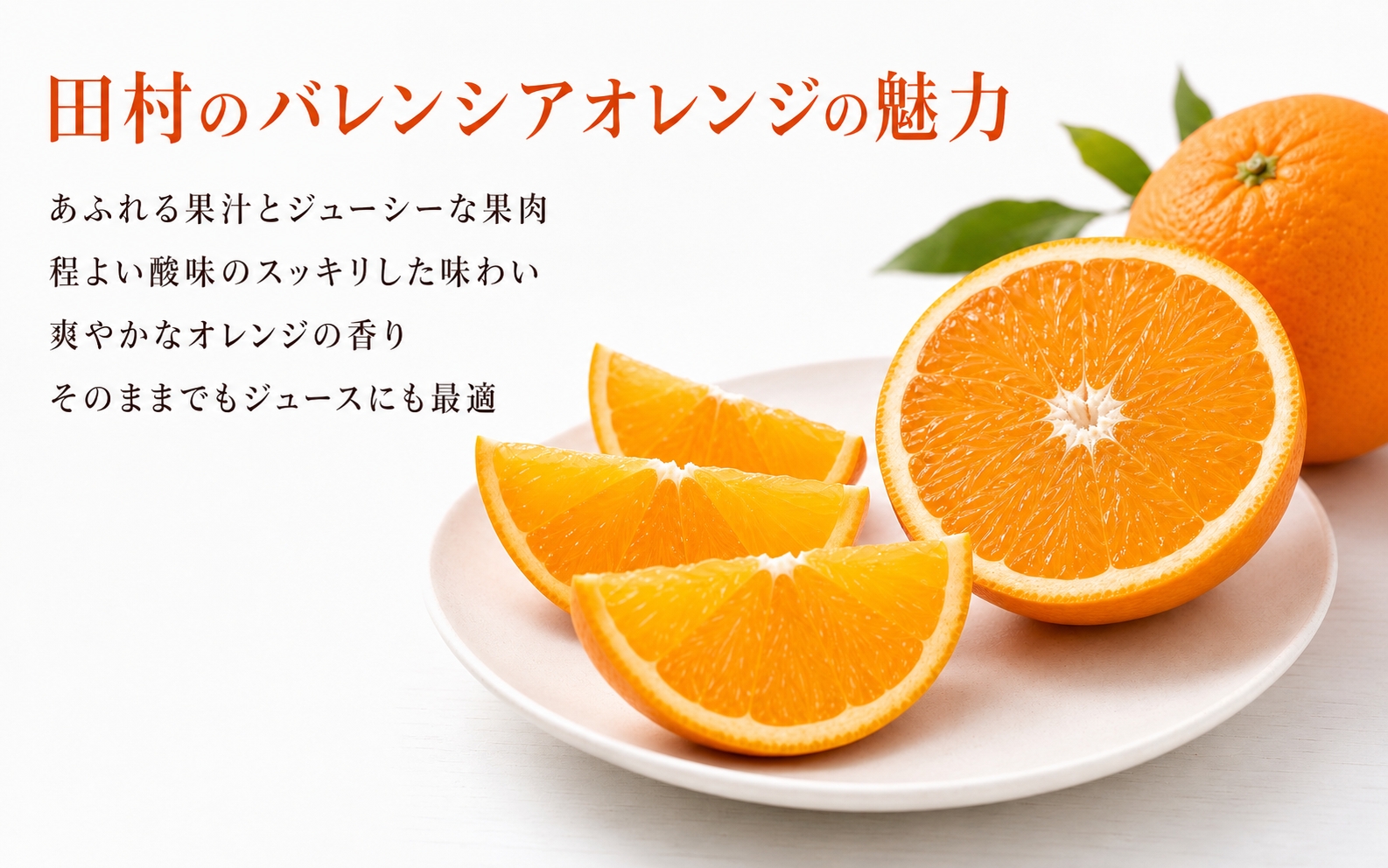 秀品　田村のバレンシアオレンジ　約7kg　※2027年6月下旬頃～7月上旬頃 順次発送予定【uot872A】