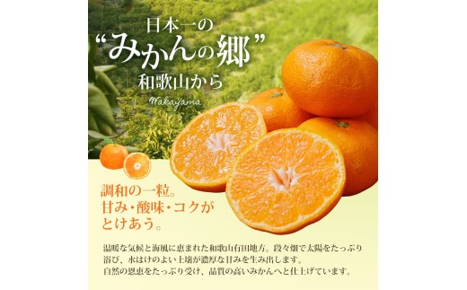 【訳あり みかん 5kg】 訳あり 有田みかん 約5kg サイズ混合 / フルーツ 果物 くだもの 柑橘 みかん ミカン オレンジ 温州ミカン みかん 名産地 甘い みかん ご家庭用 訳ありみかん 蜜柑 有機質肥料100% 有田 産地直送 ※2026年11月～2027年1月に順次発送予定（お届け日指定不可）※北海道・沖縄・離島への配送不可【nuk161E】