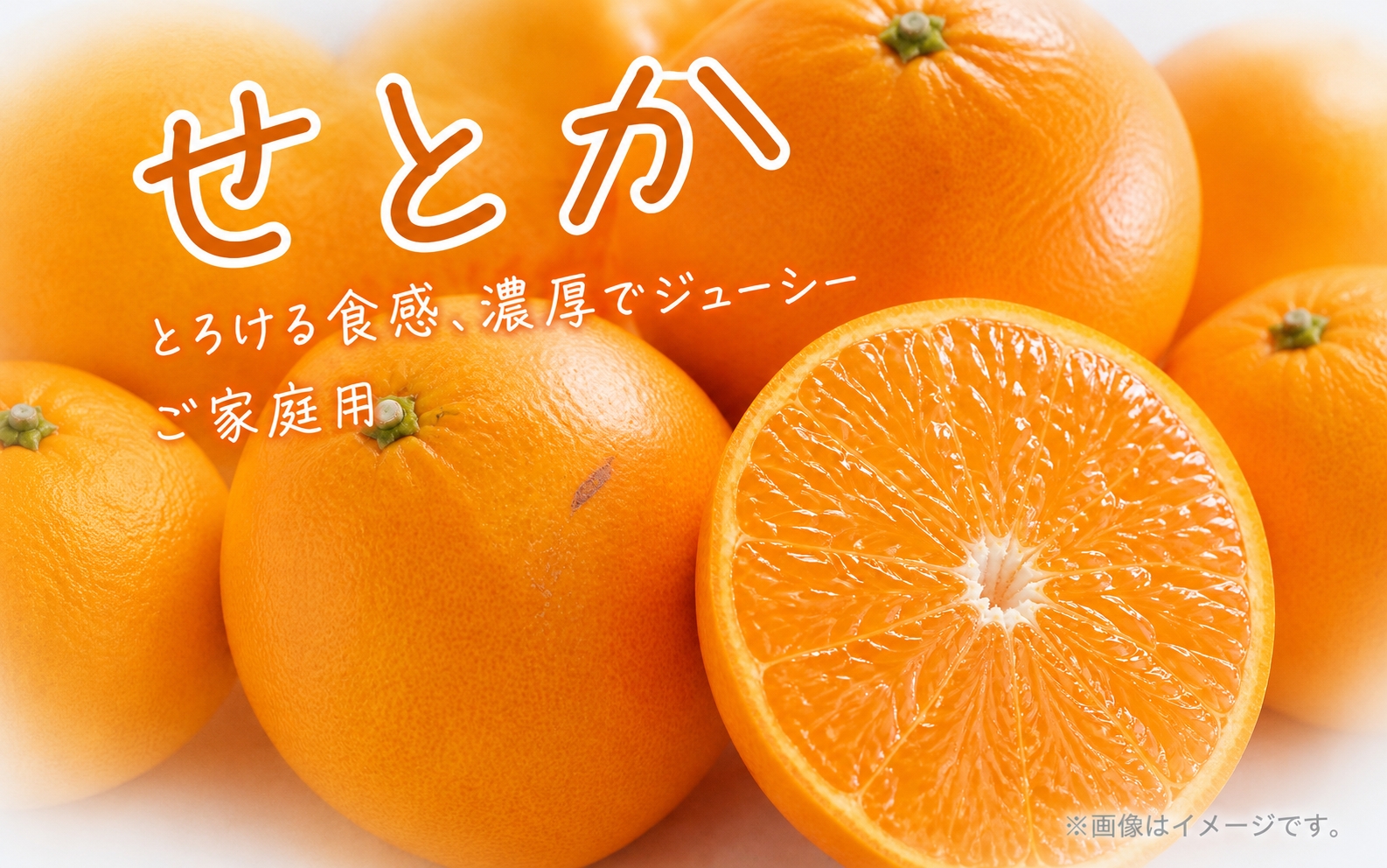 【ご家庭用訳あり】紀州和歌山産　せとか　約５ｋｇ 2027年2月中旬頃～3月中旬頃発送　【先行予約】【みかん】 【uot748】
