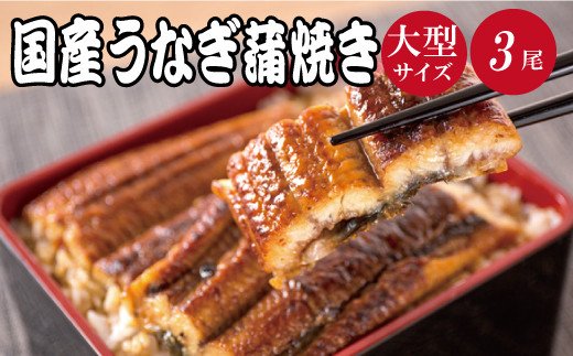 大型サイズ ふっくら柔らか国産うなぎ蒲焼き ３尾 うなぎ 国産 特大【uot303B-3】
