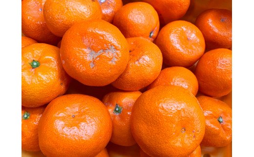 【ご家庭用訳アリ】初夏のみかん なつみ7.5kg　※2027年4月中旬頃～2027年4月下旬頃に順次発送予定(お届け日指定不可)【uot733B】