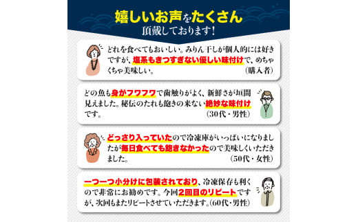【訳あり干物セット】たっぷり15点以上！おざきのひもの「おまかせスペシャルセット」【冷凍】/ ひもの 干物 干物セット 個包装 イカ 一夜干し 訳あり わけあり【ozk103A-1】