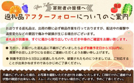 和歌山県産新玉ねぎ約10kg　Lサイズ 約25個入り　こだわり農家厳選！【2027年4月末頃〜2027年6月中旬にかけて順次発送】人気 おすすめ たまねぎ 玉ねぎ 玉葱 タマネギ オニオン スープ サラダ 国産 野菜 新鮮 ビッグサイズ 大きい BBQ【kgr033】