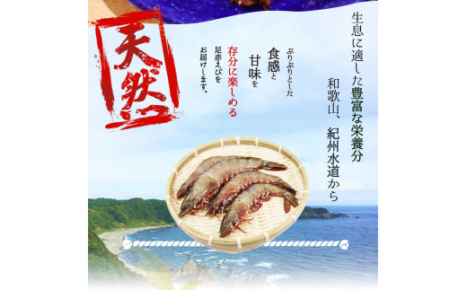 紀州和歌山産天然足赤えび540g×2箱（270g×4パック）化粧箱入 ※2026年12月上旬～2027年2月上旬頃順次発送予定（お届け日指定不可）（お届け日指定不可）／海老 エビ えび クマエビ 足赤 天然 おかず【uot773B】