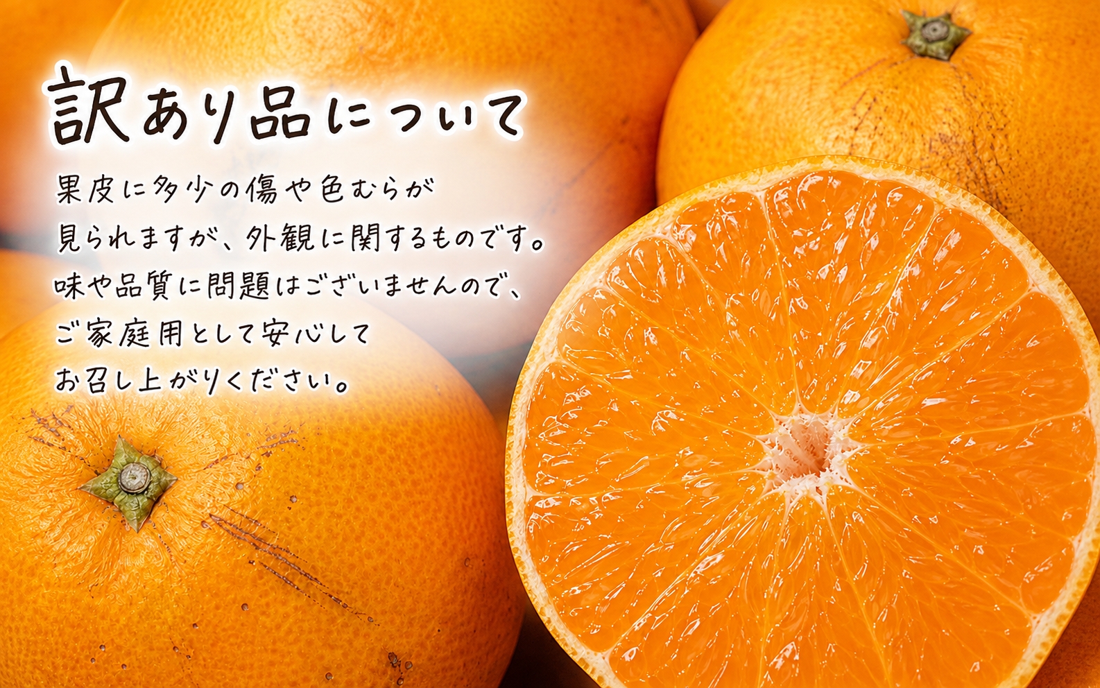【ご家庭用訳あり】紀州和歌山産　せとか　約５ｋｇ 2027年2月中旬頃～3月中旬頃発送　【先行予約】【みかん】 【uot748】