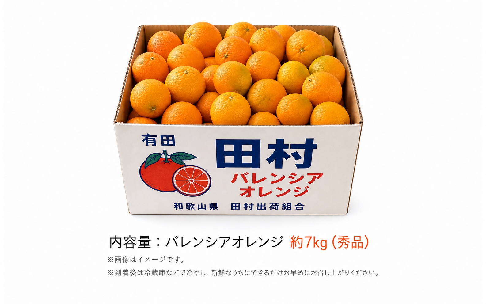 秀品　田村のバレンシアオレンジ　約7kg　※2027年6月下旬頃～7月上旬頃 順次発送予定【uot872A】