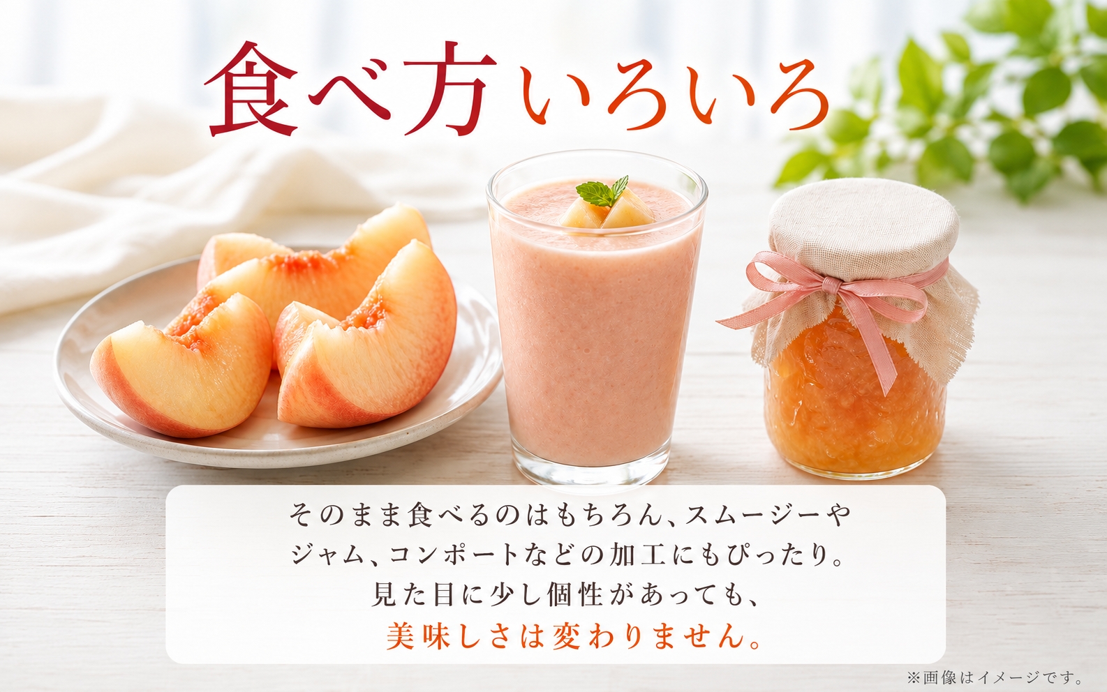 【ご家庭用訳あり】紀州和歌山産の桃　約1.8kg（5玉～8玉）※2027年7月中旬頃～8月中旬頃順次発送（お届け日指定不可）【uot873A】