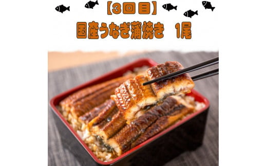 【全3回】魚鶴厳選！人気のお魚集合定期便（さば・銀鮭・うなぎ）