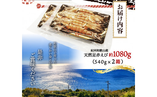 紀州和歌山産天然足赤えび540g×2箱（270g×4パック）化粧箱入 ※2026年12月上旬～2027年2月上旬頃順次発送予定（お届け日指定不可）（お届け日指定不可）／海老 エビ えび クマエビ 足赤 天然 おかず【uot773B】