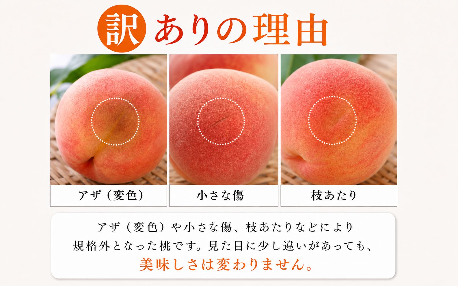【ご家庭用訳あり】紀州和歌山産の桃　約1.8kg（5玉～8玉）※2027年7月中旬頃～8月中旬頃順次発送（お届け日指定不可）【uot873A】