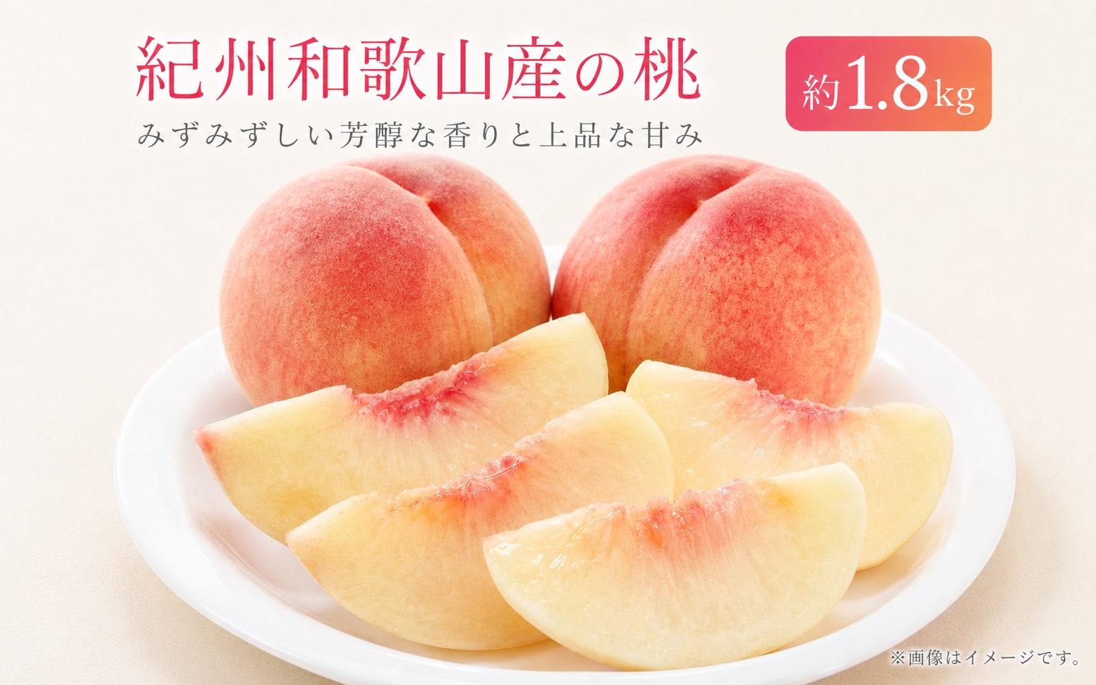 紀州和歌山産の桃　約1.8kg　化粧箱入	※2027年6月下旬頃～8月上旬頃順次発送（お届け日指定不可）【uot720A-2】
