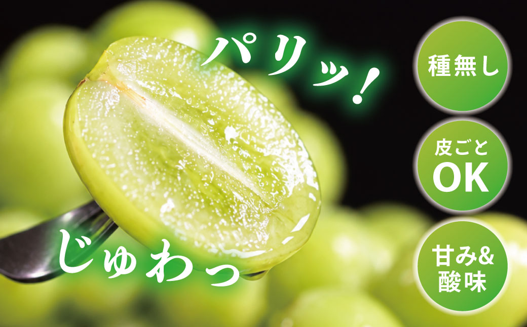 【2026年発送】 ぶどう シャイン マスカット 1.2kg 2房 糖度18度以上 シャインマスカット 種なし 訳あり 家庭用 岡山 景山ぶどう園
