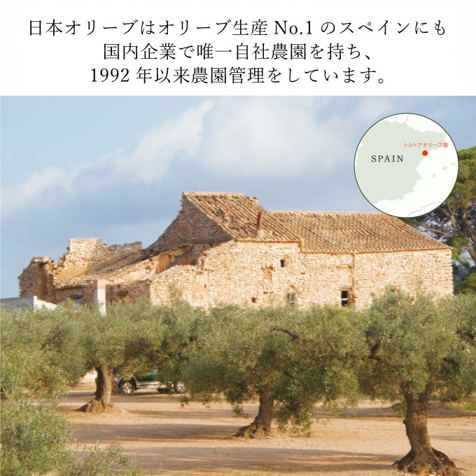 EXV.オリーブオイル　トルトサ1本入箱×4セット＆オリーブの苗木セット