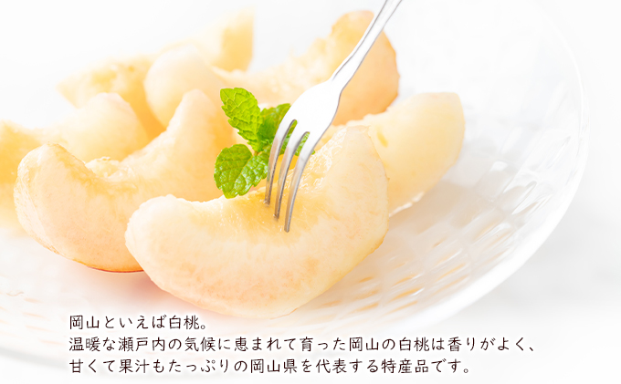 【 2027年 先行予約】 桃 岡山県産 清水 白桃 約1.2kg(4～5玉) 《2027年7月中旬-8月上旬頃出荷》 白桃 岡山 はくとう スイーツ フルーツ 果物 先行予約 数量限定 期間限定 岡山 里庄町 モモ もも 桃 