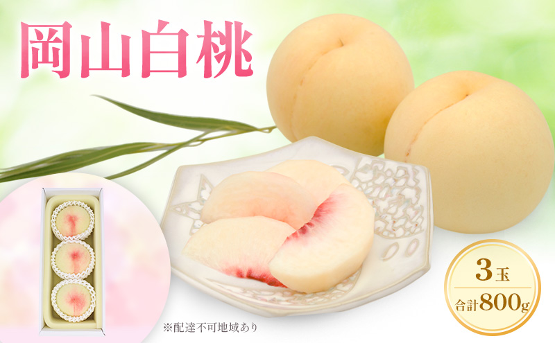 もも 2027年 先行予約 岡山白桃 ロイヤル 3玉 合計約800g  (7月上旬～7月下旬出荷予定)