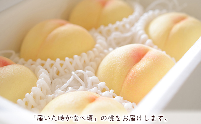 【 2027年 先行予約】 桃 岡山県産 清水 白桃 約1.2kg(4～5玉) 《2027年7月中旬-8月上旬頃出荷》 白桃 岡山 はくとう スイーツ フルーツ 果物 先行予約 数量限定 期間限定 岡山 里庄町 モモ もも 桃 