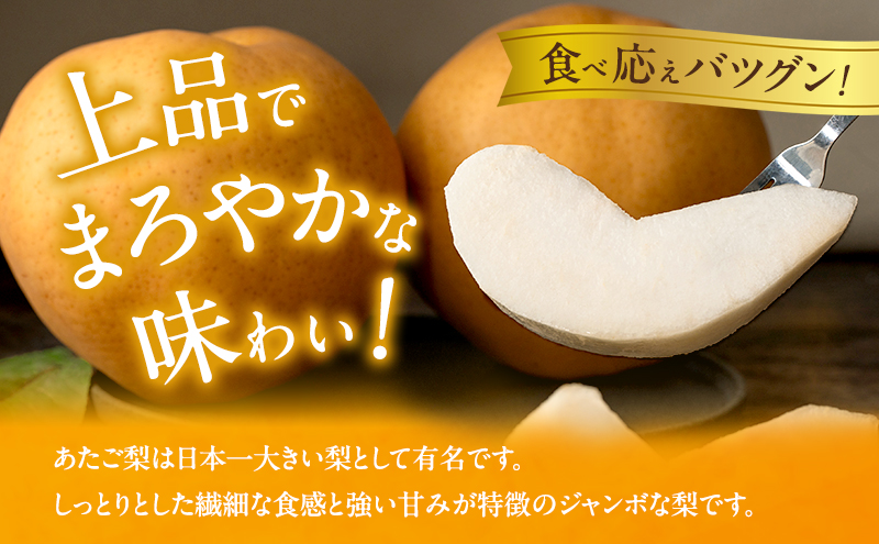 梨 2026年 先行予約 ご家庭用 あたご梨 3～9玉入り約4kg 化粧箱【11月下旬～12月中旬頃発送】 ナシ なし 岡山県産 国産 フルーツ 果物 石原果樹園 
