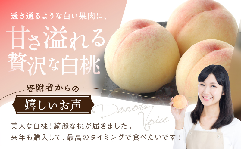 桃 2027年 先行予約 白桃 8玉 合計約2.0kg もも モモ 岡山県産 国産 フルーツ 果物 ギフト
