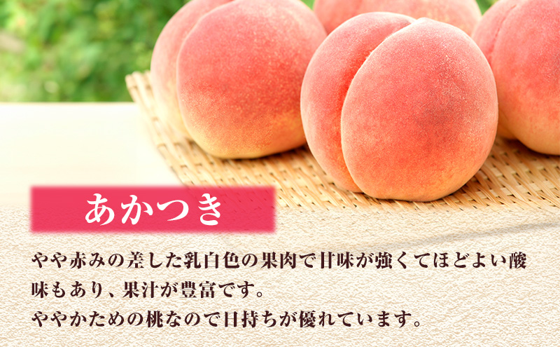 【 2027年 先行予約】 桃 岡山県産 あかつき 約1.2kg(4～5玉) 《2027年7月上旬-中旬頃出荷》 白桃 岡山 はくとう スイーツ フルーツ 果物 先行予約 数量限定 期間限定 岡山 里庄町 モモ もも 桃