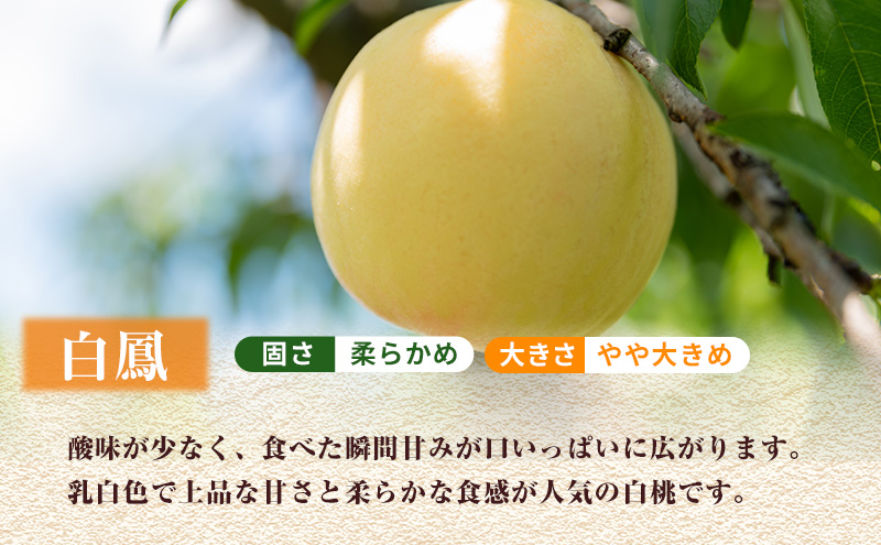 【 2027年 先行予約】 桃 岡山県産 白鳳 （ 白桃 ） 約2kg（6～8玉） 《2027年7月上旬-中旬頃出荷》 白桃 岡山 はくとう スイーツ フルーツ 果物 先行予約 数量限定 期間限定 岡山 里庄町 モモ もも 桃 