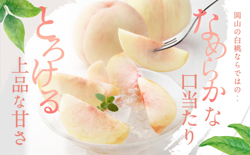 桃 2027年 先行予約 白桃 5玉 合計約1.3kg もも モモ 岡山県産 国産 フルーツ 果物 ギフト