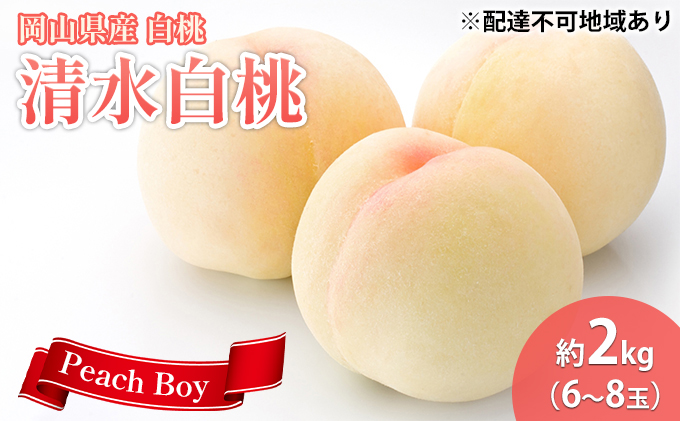 【 2027年 先行予約】 桃 岡山県産 清水 白桃 約2kg(6～8玉) 《2027年7月中旬-8月上旬頃出荷》 白桃 岡山 はくとう スイーツ フルーツ 果物 先行予約 数量限定 期間限定 岡山 里庄町 モモ もも 桃 