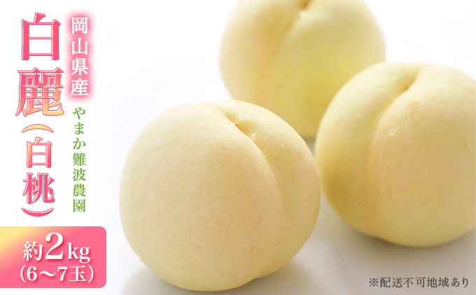 桃 【 2027年 先行予約 】 岡山県産 白麗 （ 白桃 ） 約2kg（6～7玉） 《2027年8月上旬～中旬頃出荷》 白桃 岡山 はくとう フルーツ 果物 先行予約 数量限定 期間限定 里庄町 モモ もも 
