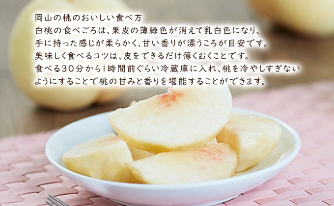 桃 【 2027年 先行予約 】 岡山県産 白麗 （ 白桃 ） 約2kg（6～7玉） 《2027年8月上旬～中旬頃出荷》 白桃 岡山 はくとう フルーツ 果物 先行予約 数量限定 期間限定 里庄町 モモ もも 