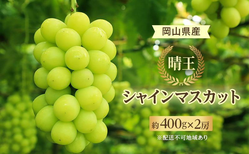 ぶどう 2026年 先行予約 シャイン マスカット 晴王 約400g×2房 8月下旬～11月下旬発送 ブドウ 葡萄 岡山県産 国産 フルーツ 果物 ギフト 