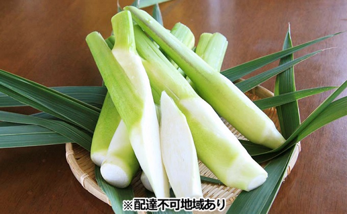 里庄 まこもたけ （2.1kg）【2026年10月上旬～2027年1月上旬出荷】 野菜 マコモダケ マコモ 中華料理 天ぷら 高級食材 送料無料 里庄町
