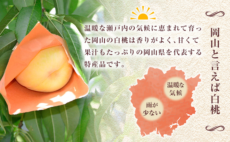 【 2027年 先行予約】 桃 岡山県産 白鳳 （ 白桃 ）約1.2kg(4～5玉) 《2027年7月上旬-中旬頃出荷》 白桃 岡山 はくとう スイーツ フルーツ 果物 先行予約 数量限定 期間限定 岡山 里庄町 モモ もも 桃 