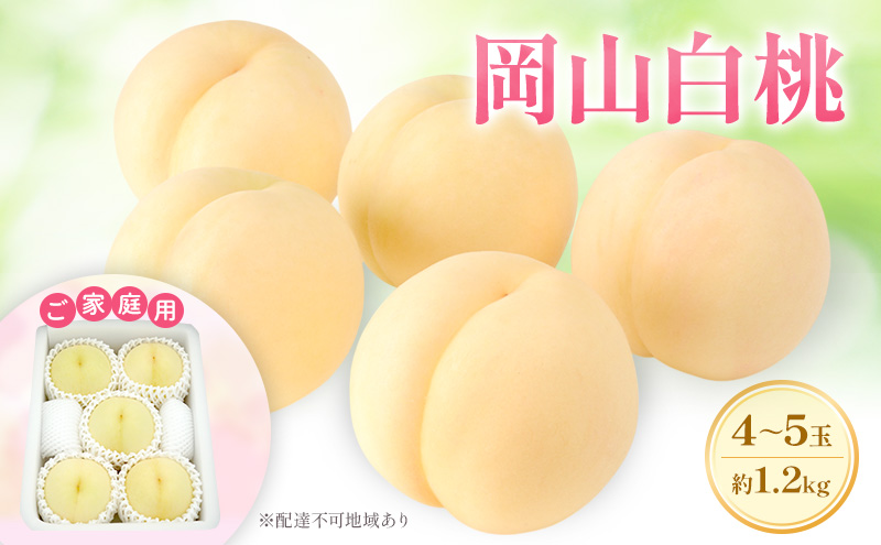 もも 2027年 先行予約 【ご家庭用】 岡山白桃 エース 4～5玉 約1.2kg  (6月下旬～7月下旬出荷予定)