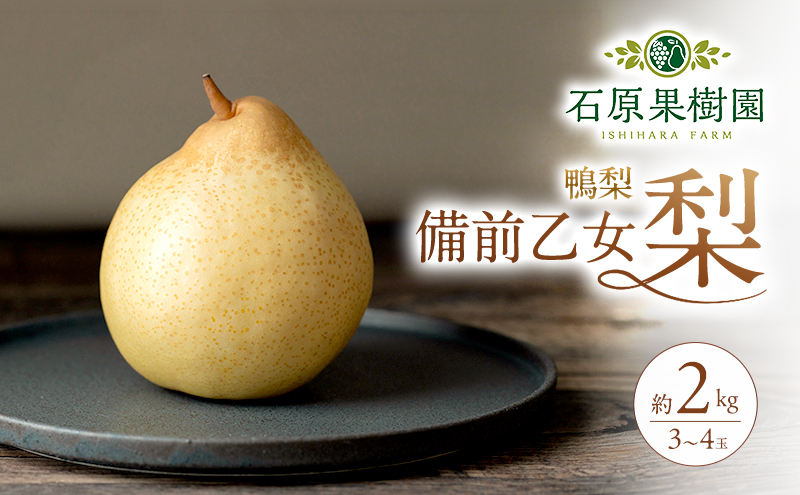 梨 2026年 先行予約 備前乙女梨（鴨梨） 3～4玉 合計約2kg【11月下旬～12月中旬頃発送】 ナシ なし 岡山県産 国産 フルーツ 果物 ギフト 石原果樹園 