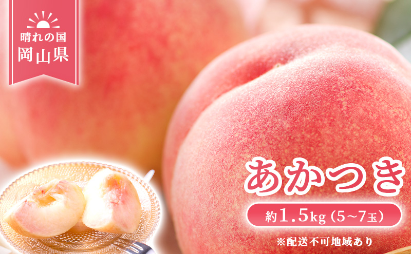 【 2027年 先行予約】 桃 岡山県産 あかつき 約1.5kg(5～7玉) 《2027年7月上旬-中旬頃出荷》 白桃 岡山 はくとう スイーツ フルーツ 果物 先行予約 数量限定 期間限定 岡山 里庄町 モモ もも 桃 