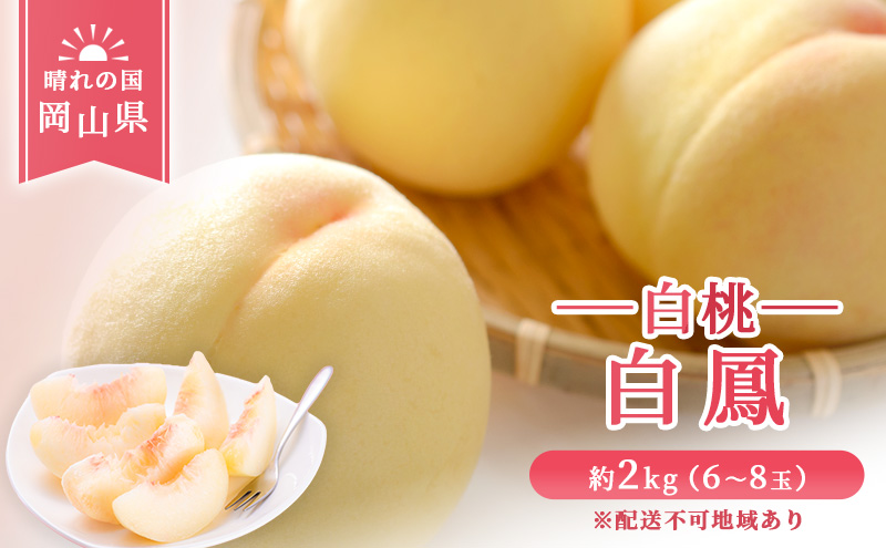 【 2027年 先行予約】 桃 岡山県産 白鳳 （ 白桃 ） 約2kg（6～8玉） 《2027年7月上旬-中旬頃出荷》 白桃 岡山 はくとう スイーツ フルーツ 果物 先行予約 数量限定 期間限定 岡山 里庄町 モモ もも 桃 