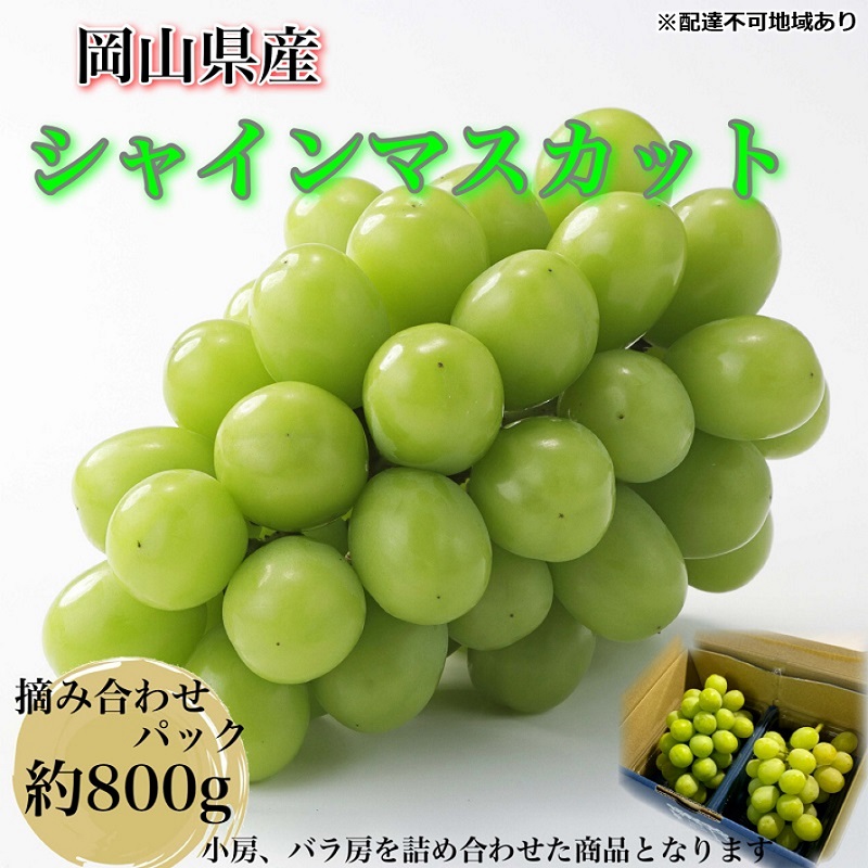 ぶどう 2026年 先行予約 【平均糖度20度】農家こだわりの シャインマスカット ご家庭用パック 合計約800g ブドウ 葡萄 岡山県産 国産 フルーツ 果物 ギフト 【 Nini farm 農家 直送 】