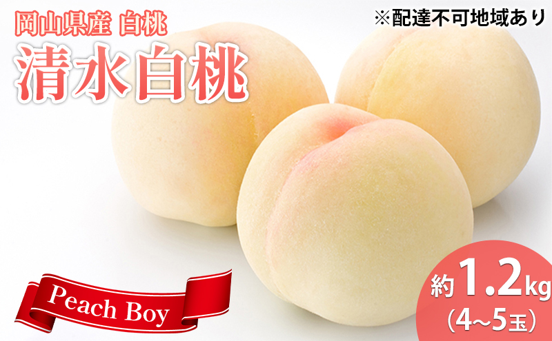 【 2027年 先行予約】 桃 岡山県産 清水 白桃 約1.2kg(4～5玉) 《2027年7月中旬-8月上旬頃出荷》 白桃 岡山 はくとう スイーツ フルーツ 果物 先行予約 数量限定 期間限定 岡山 里庄町 モモ もも 桃 