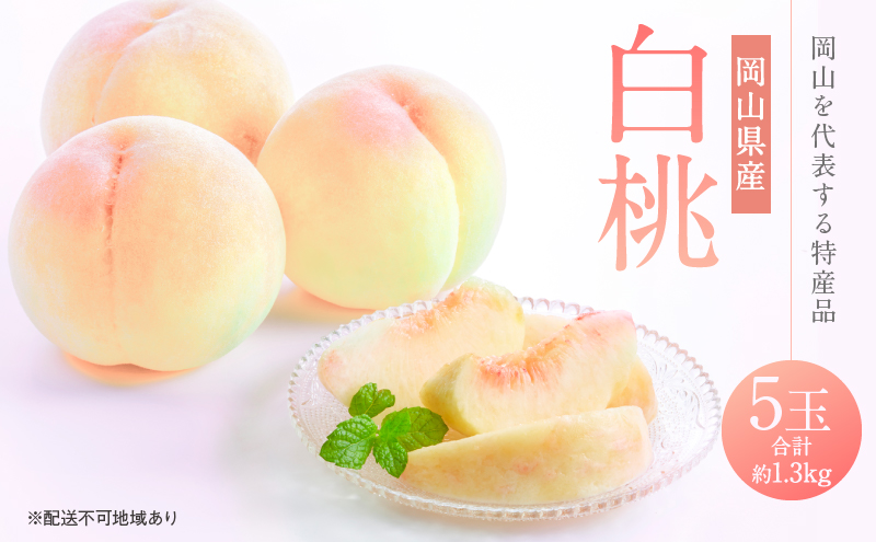 桃 2027年 先行予約 白桃 5玉 合計約1.3kg もも モモ 岡山県産 国産 フルーツ 果物 ギフト