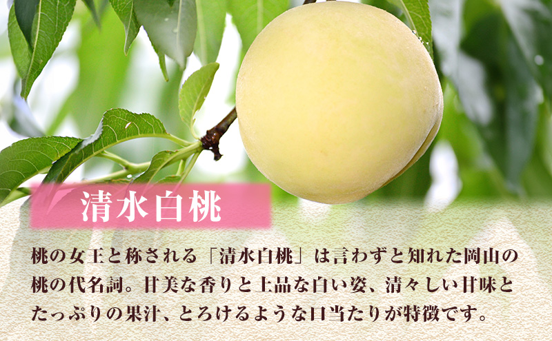 【 2027年 先行予約】 桃 岡山県産 数量限定50箱 極撰 清水 白桃 2kg 大玉 6玉  《2027年7月中旬-8月上旬頃出荷》 岡山 スイーツ フルーツ 果物 先行予約 数量限定 期間限定 岡山 里庄町 