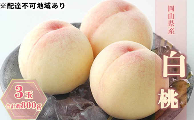 桃 2027年 先行予約 白桃 3玉 合計約800g もも モモ 岡山県産 国産 フルーツ 果物 ギフト
