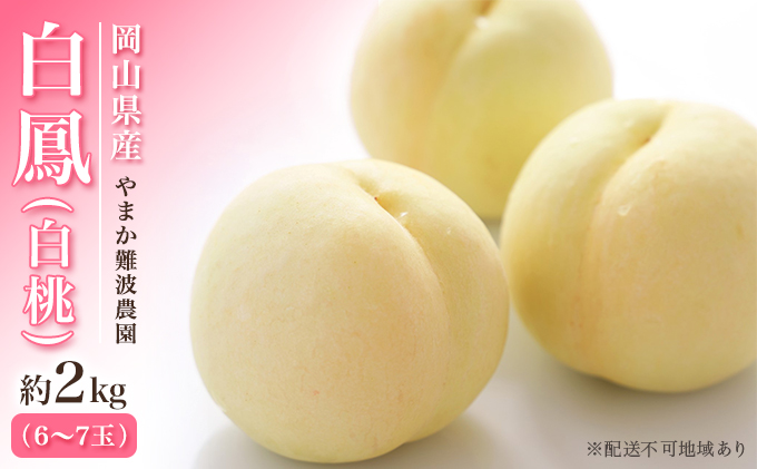 桃 【 2027年 先行予約】 岡山県産 白鳳 （ 白桃 ） 約2kg（6～7玉