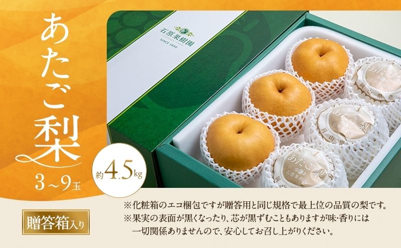 梨 2026年 先行予約 あたご梨 3～9玉 合計約4.5kg 贈答箱【11月下旬～12月中旬頃発送】 ナシ なし 岡山県産 国産 フルーツ 果物 ギフト 石原果樹園 