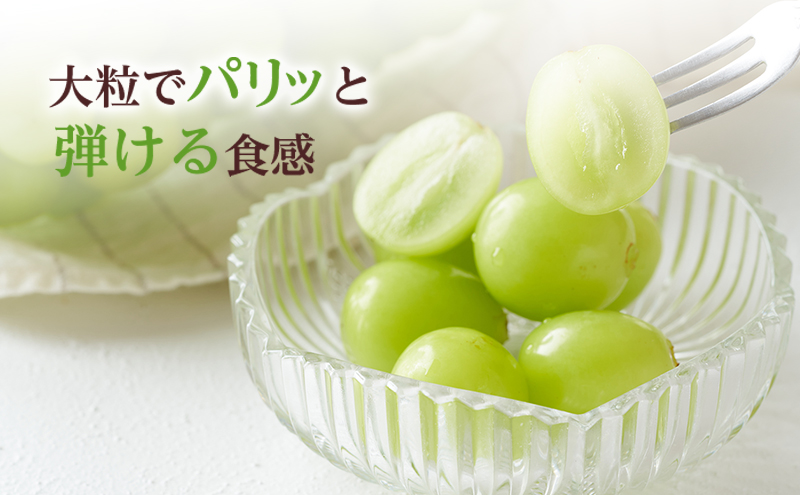 ぶどう 2026年 先行予約 シャイン マスカット 晴王 約400g×2房 8月下旬～11月下旬発送 ブドウ 葡萄 岡山県産 国産 フルーツ 果物 ギフト 