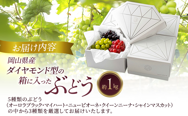 岡山県産 ダイヤモンド型の箱に入ったぶどう 厳選3種 約1kg 葡萄 ブドウ 岡山県産 オーロラブラック マイハート ニューピオーネ クイーンニーナ シャインマスカット 数量限定