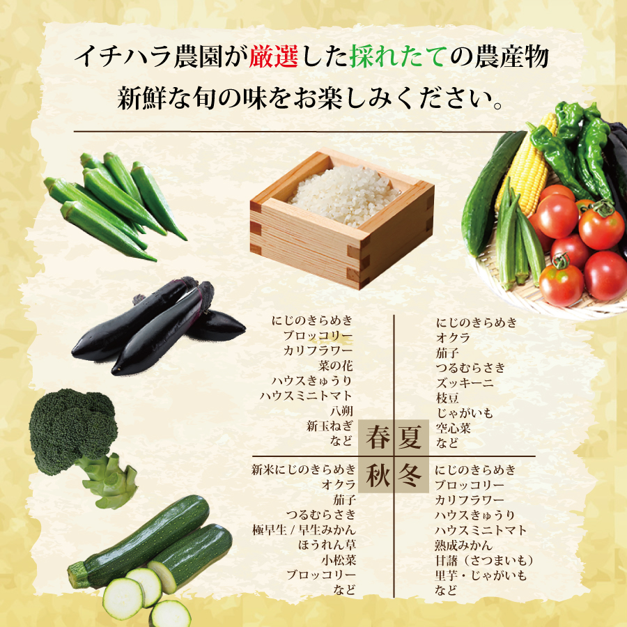 【定期便6回/2か月毎】市原農園 お米と農産物