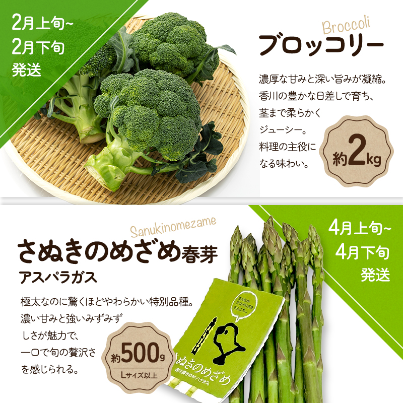 野菜セット 定期便 全5回 香川県産 さぬきのめざめ アスパラガス アスパラ 春芽 夏芽 ブロッコリー ホワイトコーン とうもろこし ミニトマト トマト 約2kg 約500g 約800g 旬 旬の野菜 野菜 国産 詰め合わせ 五色青果 香川県 東かがわ市